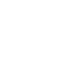 dog--v2